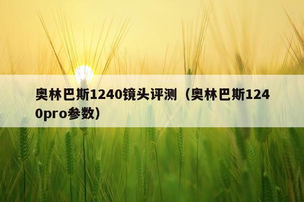 奥林巴斯1240镜头评测（奥林巴斯1240pro参数）
