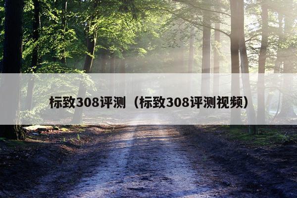 标致308评测（标致308评测视频）