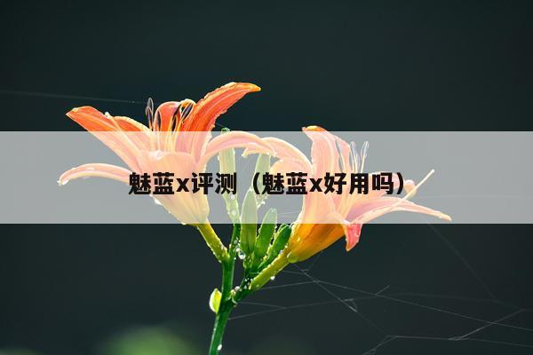 魅蓝x评测（魅蓝x好用吗）