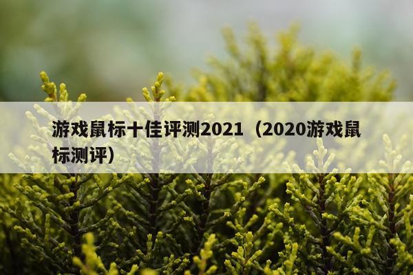 游戏鼠标十佳评测2021（2020游戏鼠标测评）