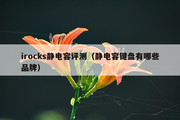 irocks静电容评测（静电容键盘有哪些品牌）