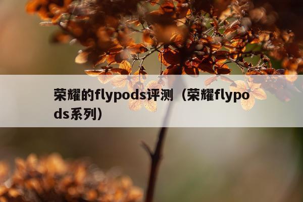 荣耀的flypods评测（荣耀flypods系列）