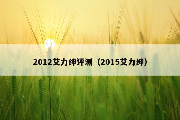 2012艾力绅评测（2015艾力绅）