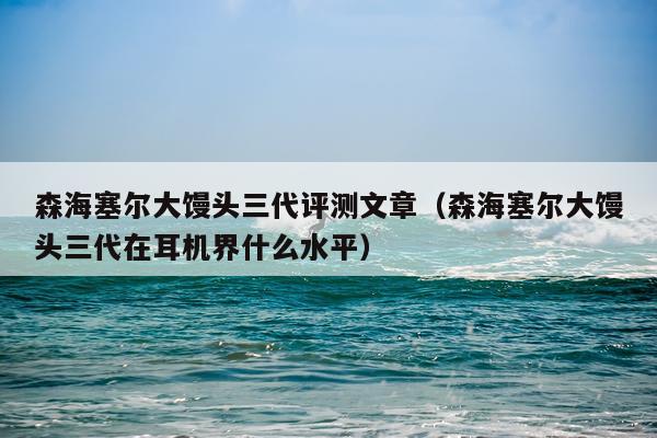 森海塞尔大馒头三代评测文章（森海塞尔大馒头三代在耳机界什么水平）