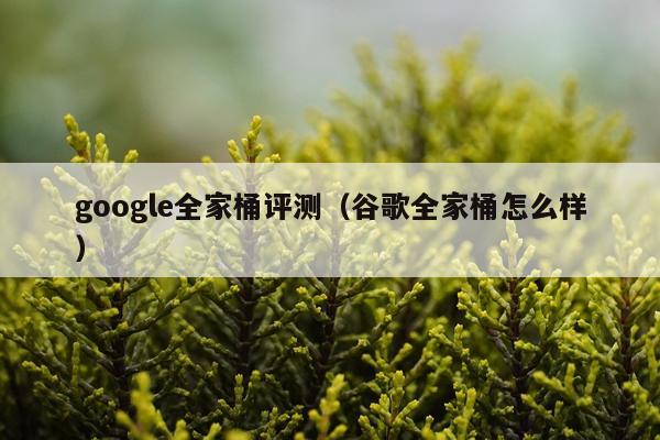 google全家桶评测（谷歌全家桶怎么样）