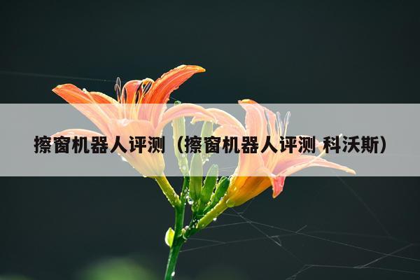 擦窗机器人评测（擦窗机器人评测 科沃斯）