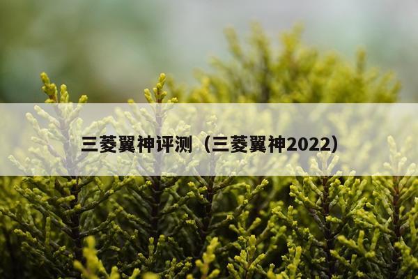 三菱翼神评测（三菱翼神2022）