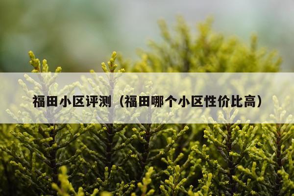 福田小区评测（福田哪个小区性价比高）