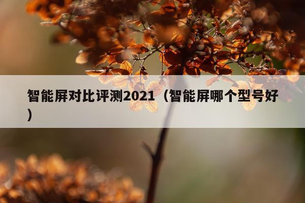 智能屏对比评测2021（智能屏哪个型号好）