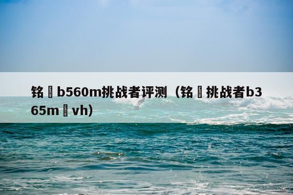 铭瑄b560m挑战者评测（铭瑄挑战者b365m–vh）