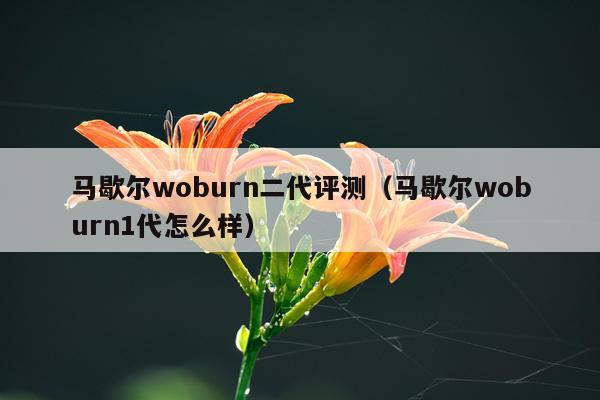 马歇尔woburn二代评测（马歇尔woburn1代怎么样）