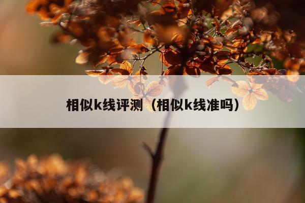 相似k线评测（相似k线准吗）