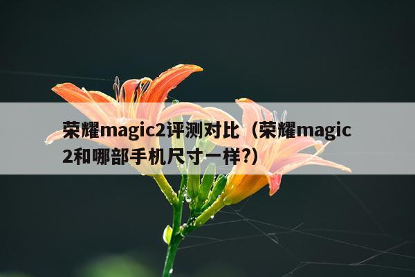 荣耀magic2评测对比（荣耀magic2和哪部手机尺寸一样?）