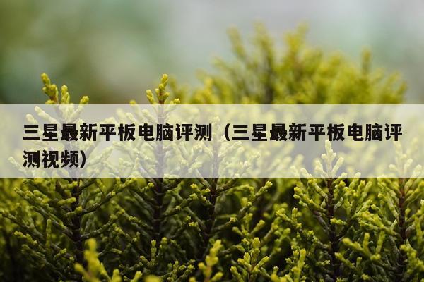 三星最新平板电脑评测（三星最新平板电脑评测视频）