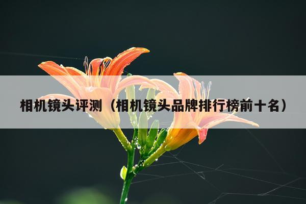 相机镜头评测（相机镜头品牌排行榜前十名）