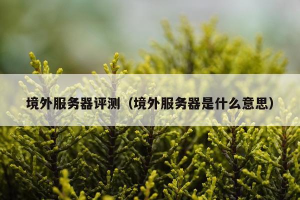 境外服务器评测（境外服务器是什么意思）