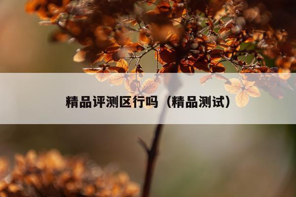 精品评测区行吗（精品测试）
