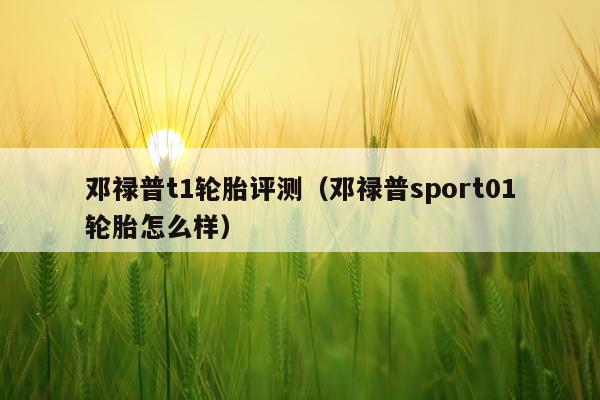 邓禄普t1轮胎评测（邓禄普sport01轮胎怎么样）