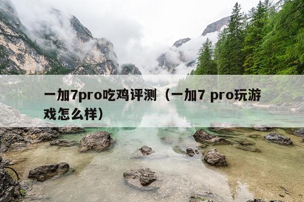 一加7pro吃鸡评测（一加7 pro玩游戏怎么样）