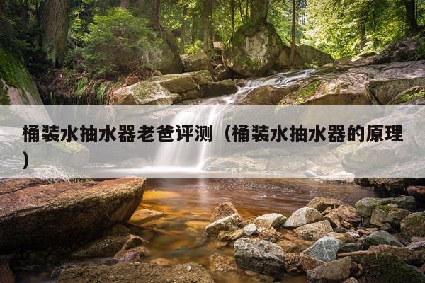 桶装水抽水器老爸评测（桶装水抽水器的原理）