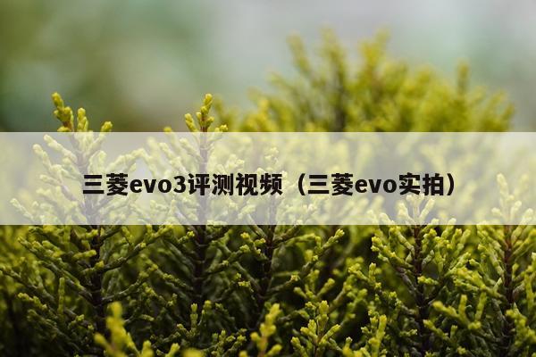 三菱evo3评测视频（三菱evo实拍）