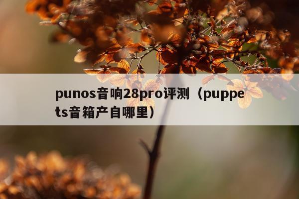 punos音响28pro评测（puppets音箱产自哪里）