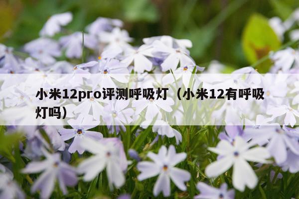 小米12pro评测呼吸灯（小米12有呼吸灯吗）