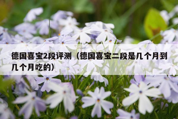 德国喜宝2段评测（德国喜宝二段是几个月到几个月吃的）