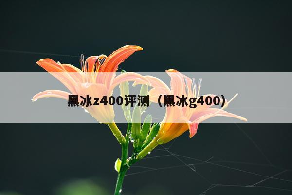黑冰z400评测（黑冰g400）