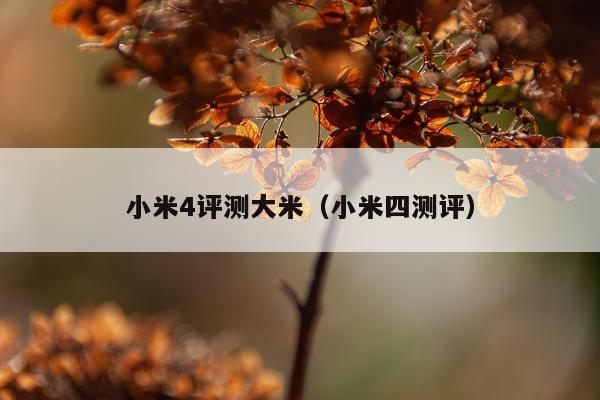 小米4评测大米（小米四测评）