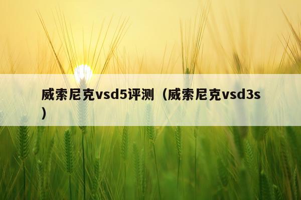 威索尼克vsd5评测（威索尼克vsd3s）