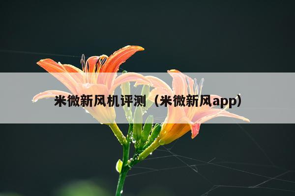 米微新风机评测（米微新风app）