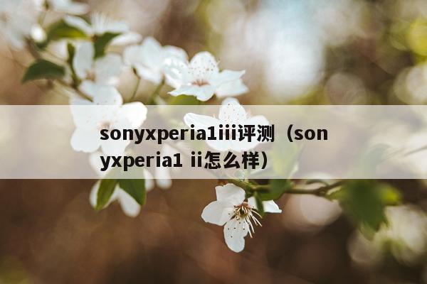 sonyxperia1iii评测（sonyxperia1 ii怎么样）