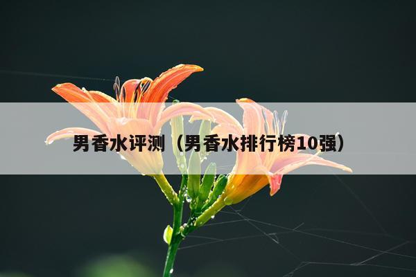 男香水评测（男香水排行榜10强）
