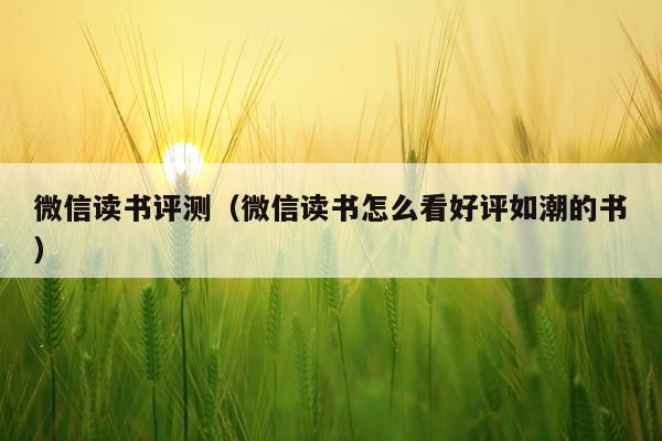 微信读书评测（微信读书怎么看好评如潮的书）