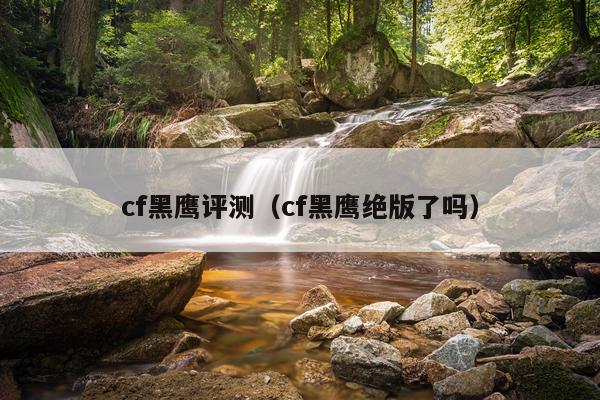 cf黑鹰评测（cf黑鹰绝版了吗）