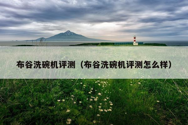 布谷洗碗机评测（布谷洗碗机评测怎么样）