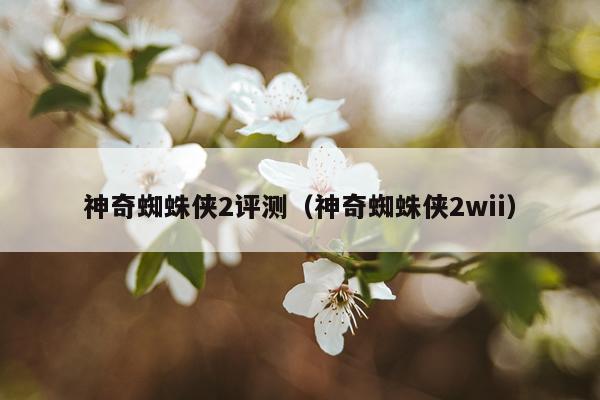 神奇蜘蛛侠2评测（神奇蜘蛛侠2wii）