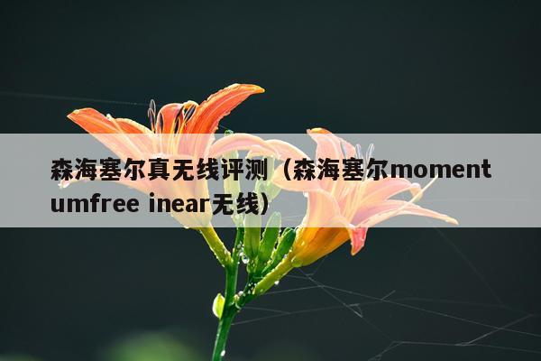 森海塞尔真无线评测（森海塞尔momentumfree inear无线）