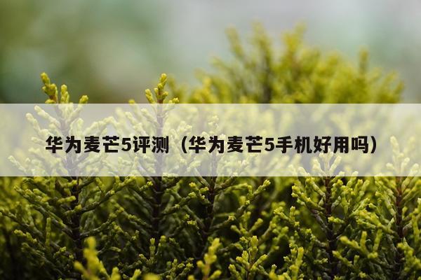 华为麦芒5评测（华为麦芒5手机好用吗）