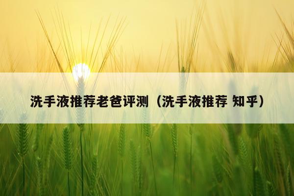 洗手液推荐老爸评测（洗手液推荐 知乎）