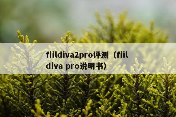 fiildiva2pro评测（fiil diva pro说明书）