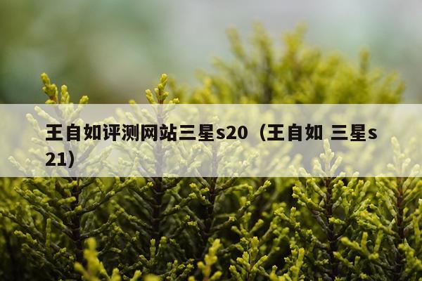 王自如评测网站三星s20（王自如 三星s21）