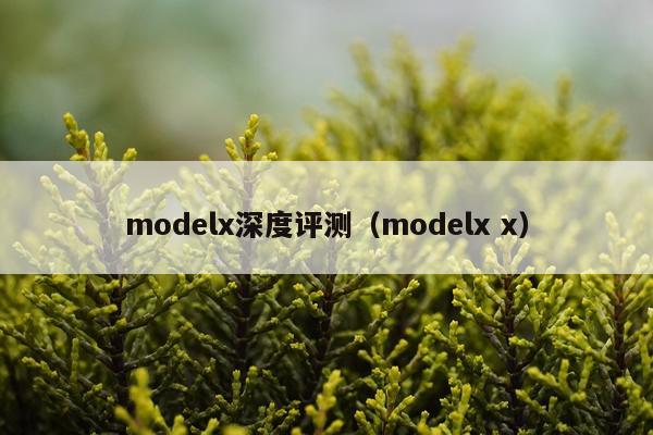 modelx深度评测（modelx x）