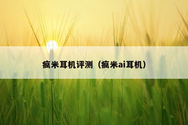 疯米耳机评测（疯米ai耳机）