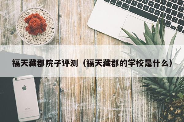 福天藏郡院子评测（福天藏郡的学校是什么）