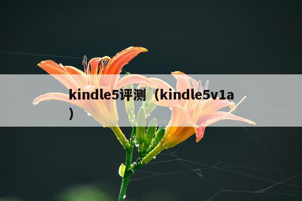 kindle5评测（kindle5v1a）