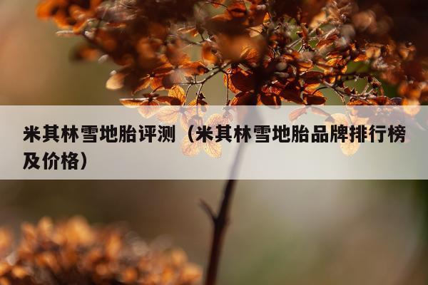 米其林雪地胎评测（米其林雪地胎品牌排行榜及价格）