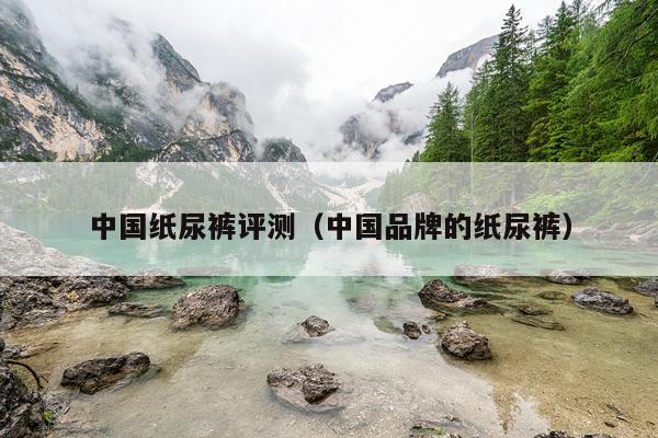 中国纸尿裤评测（中国品牌的纸尿裤）