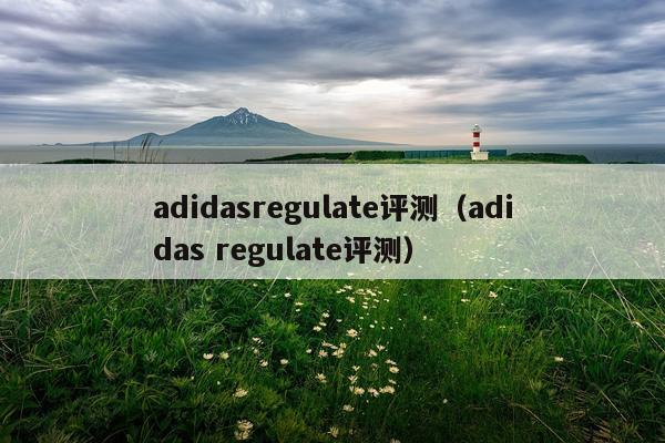 adidasregulate评测（adidas regulate评测）